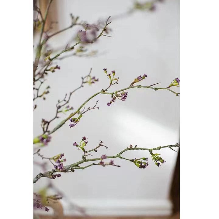 Long Weigela Flower Stem 63" Tall Sangria Uranus