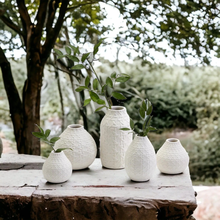 Embossed Cane Webbing Ceramic Vases – Modern Decorative Accent, Assorted Sizes Cerise Thalassa