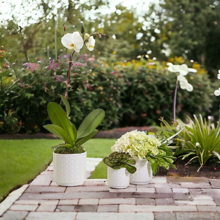 Handmade Cane Webbing Ceramic Planters – Small, Medium & Large Cement Pots for Indoor Plants Cerise Thalassa