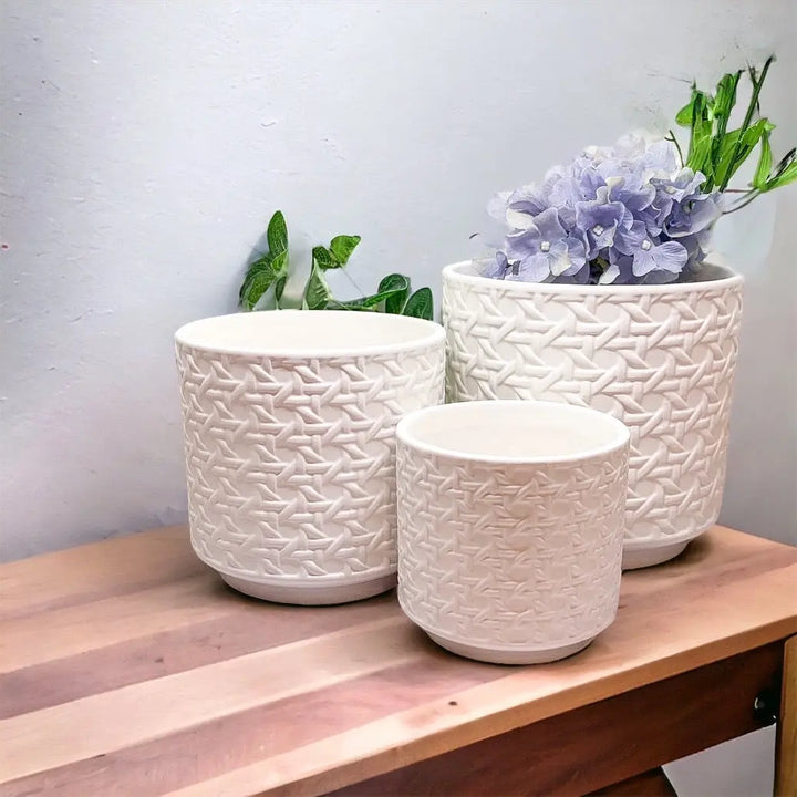 Handmade Cane Webbing Ceramic Planters – Small, Medium & Large Cement Pots for Indoor Plants Cerise Thalassa