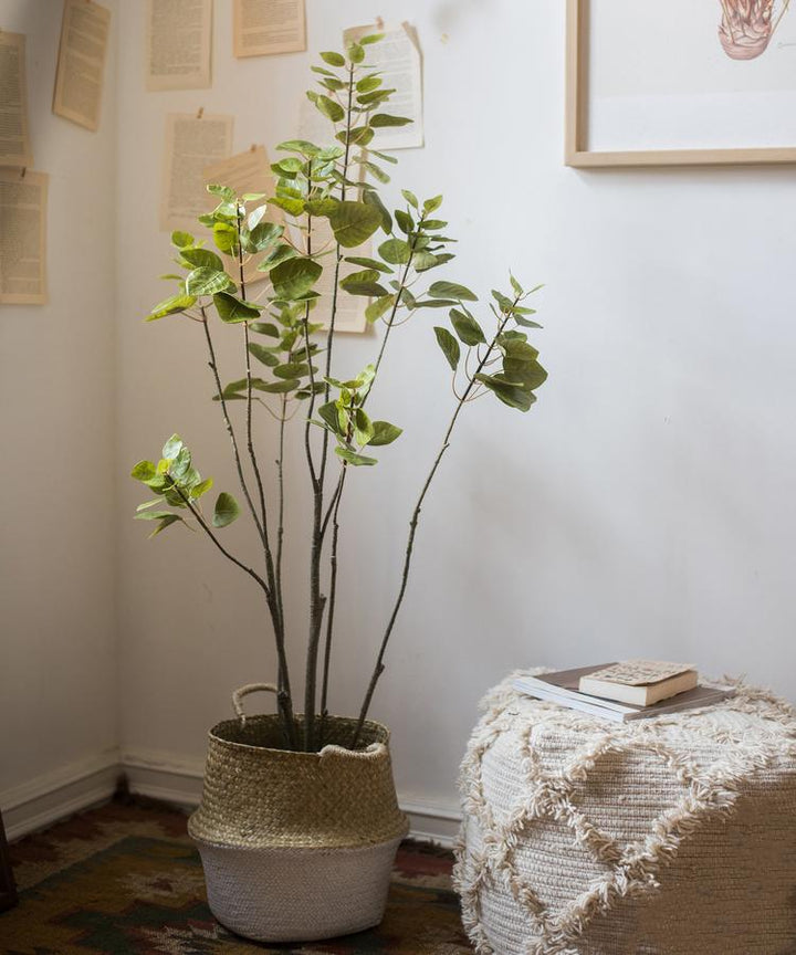 Handmade Artificial Bauhinia Tree in Pot – Realistic Silk Faux Plant Decor (Small & Large Sizes) Sangria Uranus