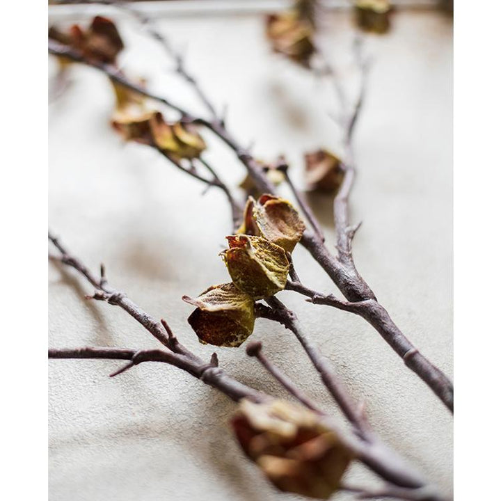 Handmade Dried Hibiscus Artificial Flower Stem – 35.4" Tall Faux Silk Floral in Yellow/Brown Sangria Uranus