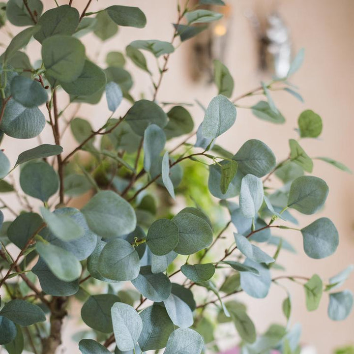 Eucalyptus Artificial Tree – Handmade Faux Plant in Pot – Realistic Indoor Silk Tree Decor (Small & Large Sizes) Sangria Uranus
