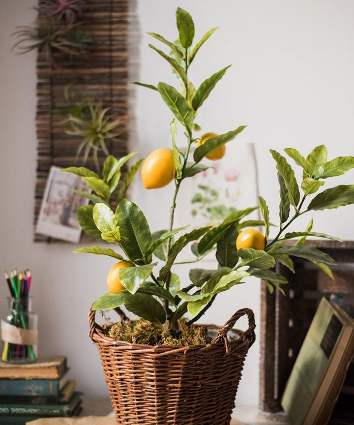 Lemon Tree Faux Plant – Handmade Artificial Silk Tree in Pot – Realistic Indoor Decor (Multiple Sizes) Sangria Uranus