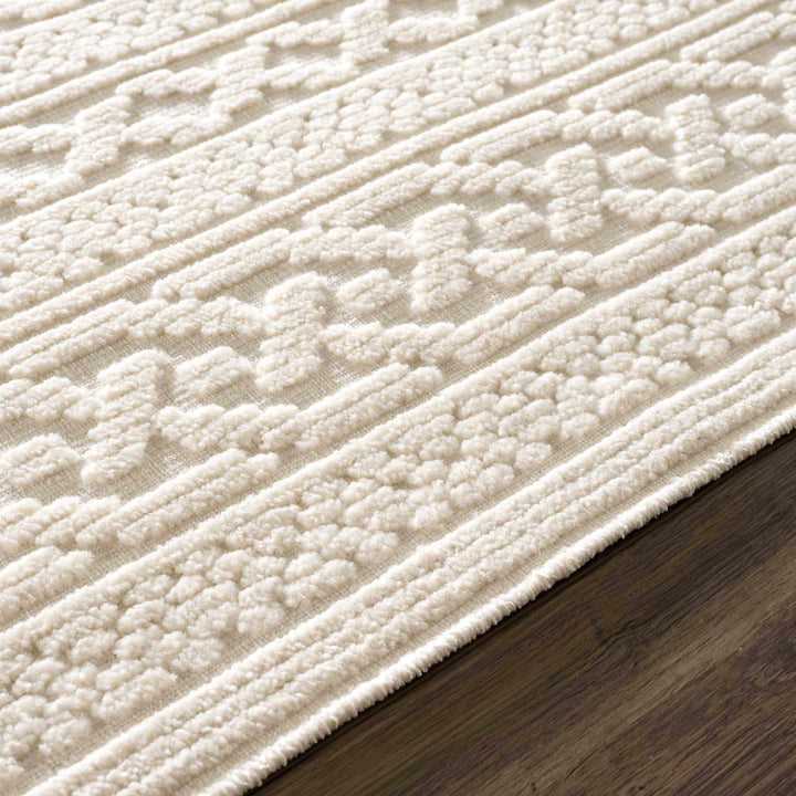 Fadey Washable Area Rug – Beige & Ivory High-Low Trellis Design, Machine Woven Medium Pile, Boho & Transitional Style Champagne Themis