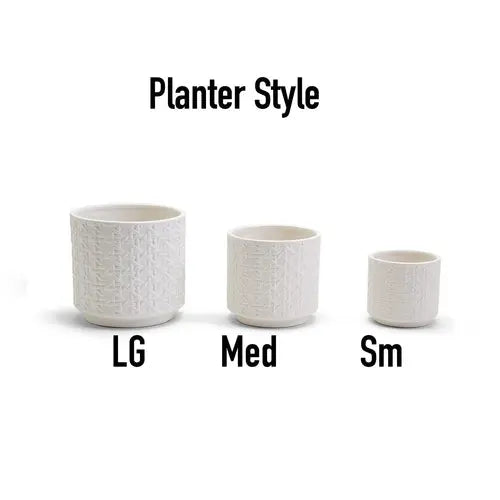 Handmade Cane Webbing Ceramic Planters – Small, Medium & Large Cement Pots for Indoor Plants Cerise Thalassa